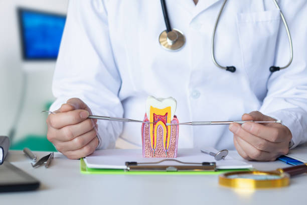 Best Emergency Dental Care for Sports Injuries in Stacy, MN